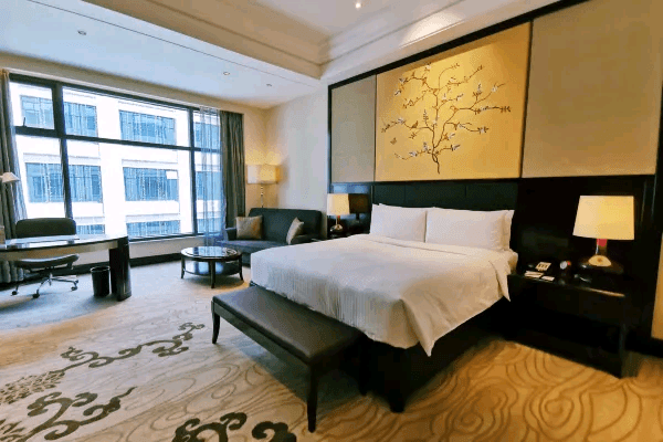 Wyndham Grand Xian South View 3